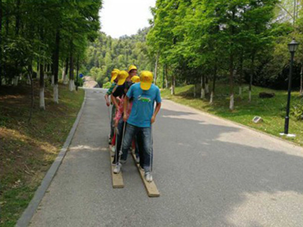 520“貝力家人”相約梅嶺森林海 拓展訓(xùn)練營